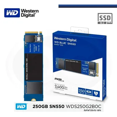 [พร้อมส่ง] 250 GB SSD (เอสเอสดี) WD BLUE SN550 PCIE/NVME M.2 2280 (WDS250G2B0C) WARRANTY 5 - Y
