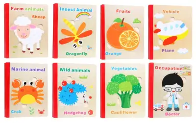 Kids Educational Wooden Puzzle Books in English, High Quality Learning Toy