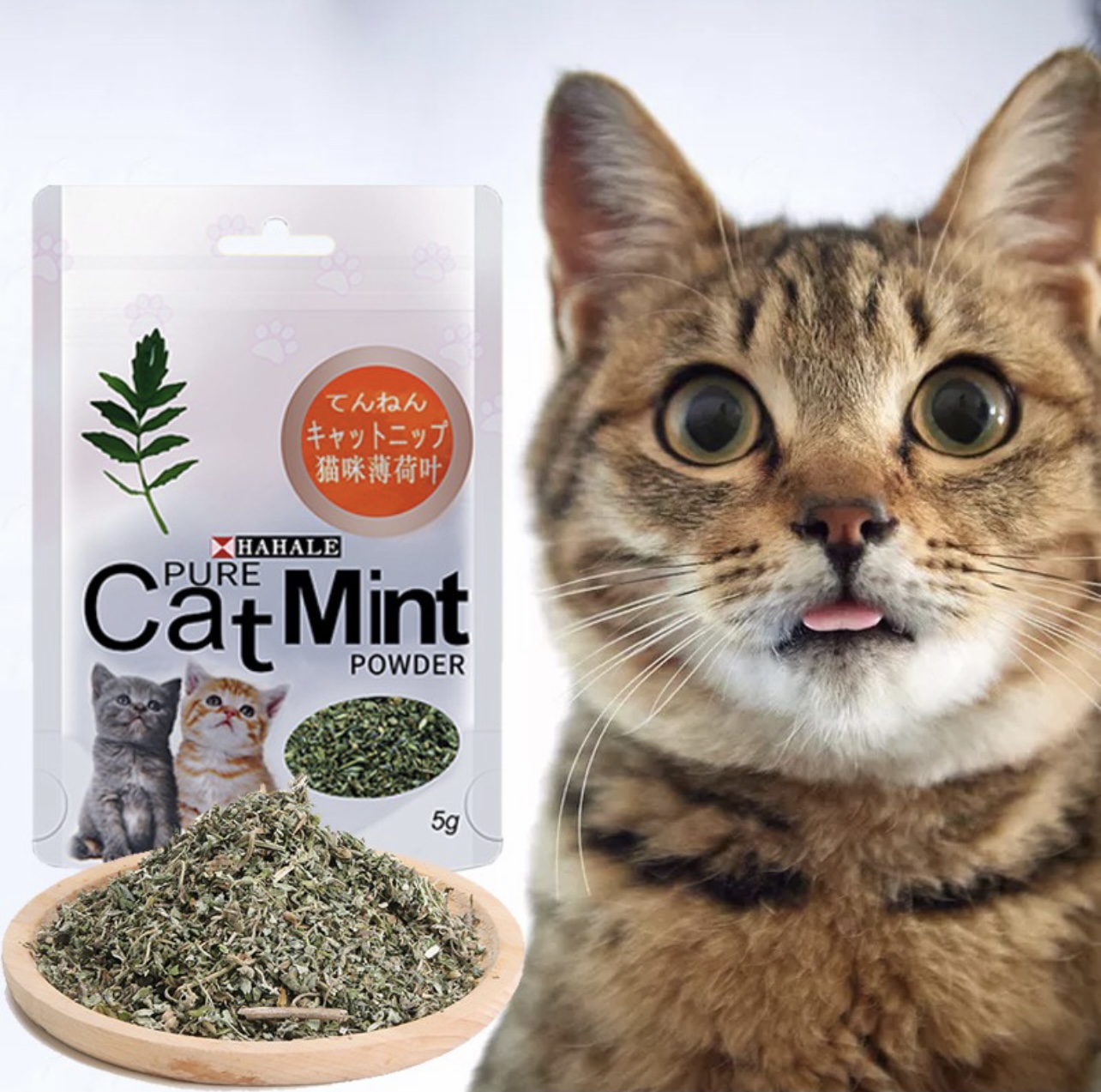 Cat Mint สมุนไพรแมว ผงแคทนิป 5 กรัม