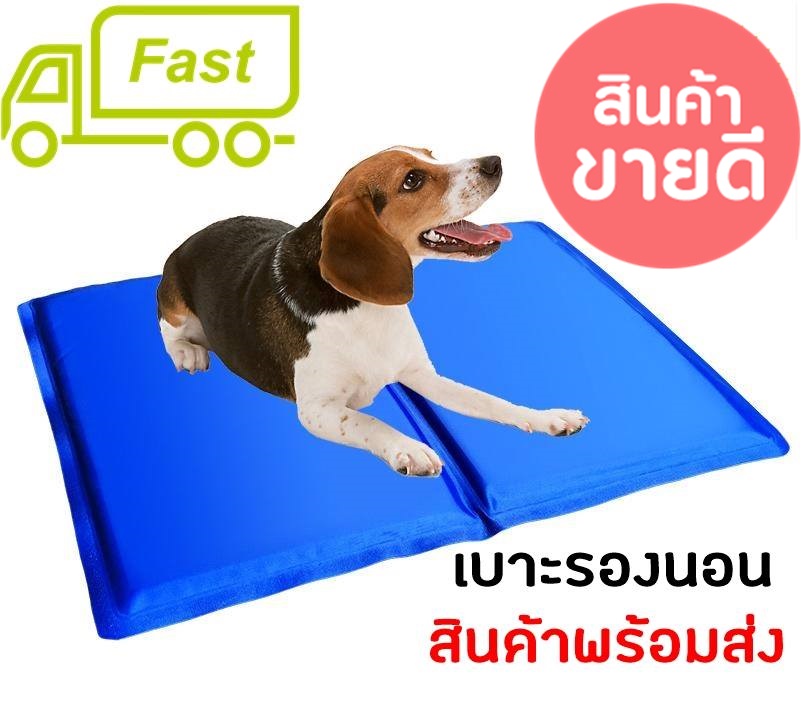Pet Cool mat แผ่นเจลเย็น ที่นอนเย็น เบาะนอนเย็น สำหรับสุนัขและแมว Size MD ขนาด 50x65 ซม. เพื่อสัตว์เลี้ยงที่คุณรักได้้นอนเย็นสบายยิ่งขึ้น