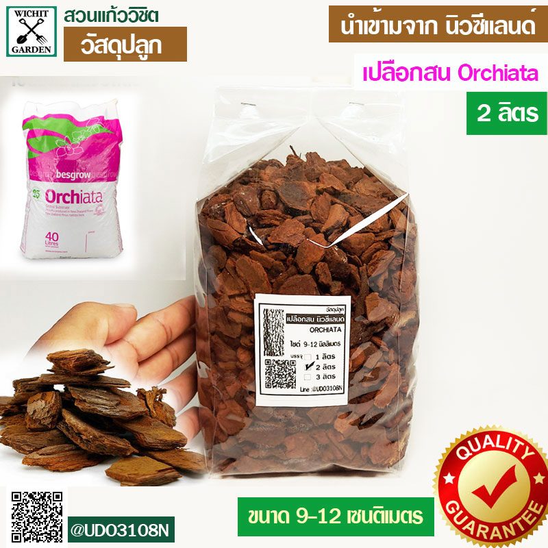 My Image 11