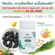 ภาพขนาดย่อของภาพหน้าปกสินค้าผักเม็ด Wheatgrass & Alfalfa Extract Multi Plus+ Q10 ** ฟรีค่าส่ง ** จากร้าน Wheatgrass & Alfalfa Plus  บน Lazada ภาพที่ 2