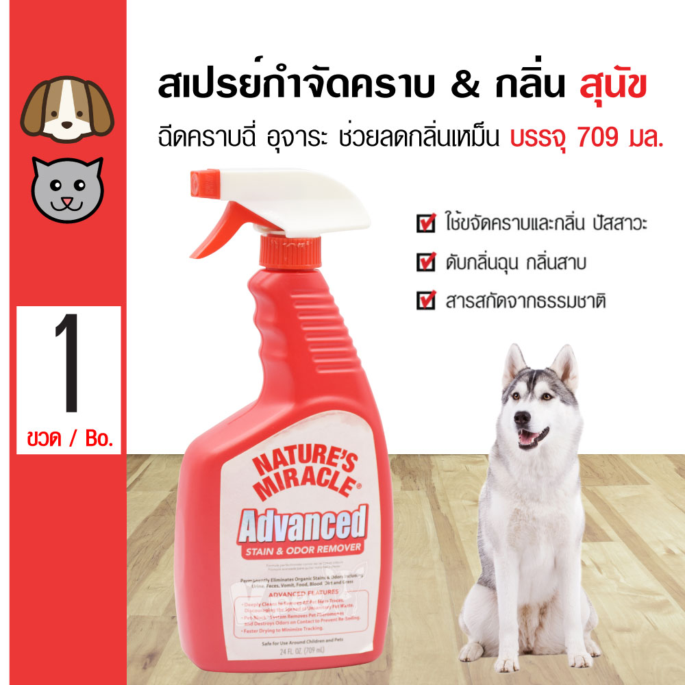 โปรโมชั่น Nature's Miracle Advanced Formula สเปรย์กำจัดคราบฉี่ อุจจาระ