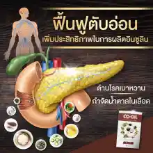 ภาพขนาดย่อของภาพหน้าปกสินค้าCO-OIL ซีโอ ออยล์ อาหารเสริมสกัดจากสมุนไพร 9 ชนิด บำรุงสุขภาพ เพิ่มการไหลเวียนโลหิต 30 แคปซูลโปร 1 กล่อง จากร้าน CO OIL SHOP บน Lazada ภาพที่ 4