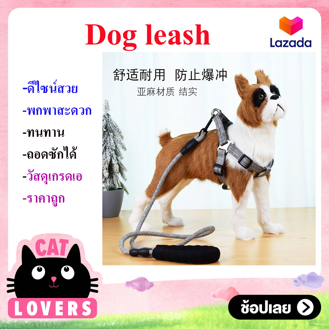 Dog leash สายจูงสุนัข พร้อมรัดออก เบอร์ S ขนาด 120*0.6*1.0 cm. ยึดหยุ่น 27-42 cm.น้ำหนัก 80 กรัม น้ำหนักสัตว์เลี้ยง 3-8 กก.
