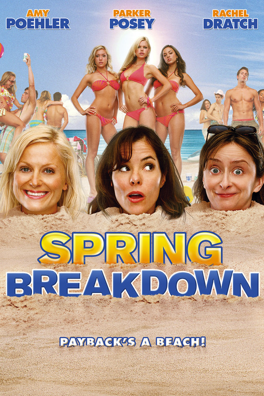 Spring Breakdown (2009) ขอฮึดเปรี้ยว เหี่ยวสามซูเปอร์แก๊ง (DVD) ดีวีดี