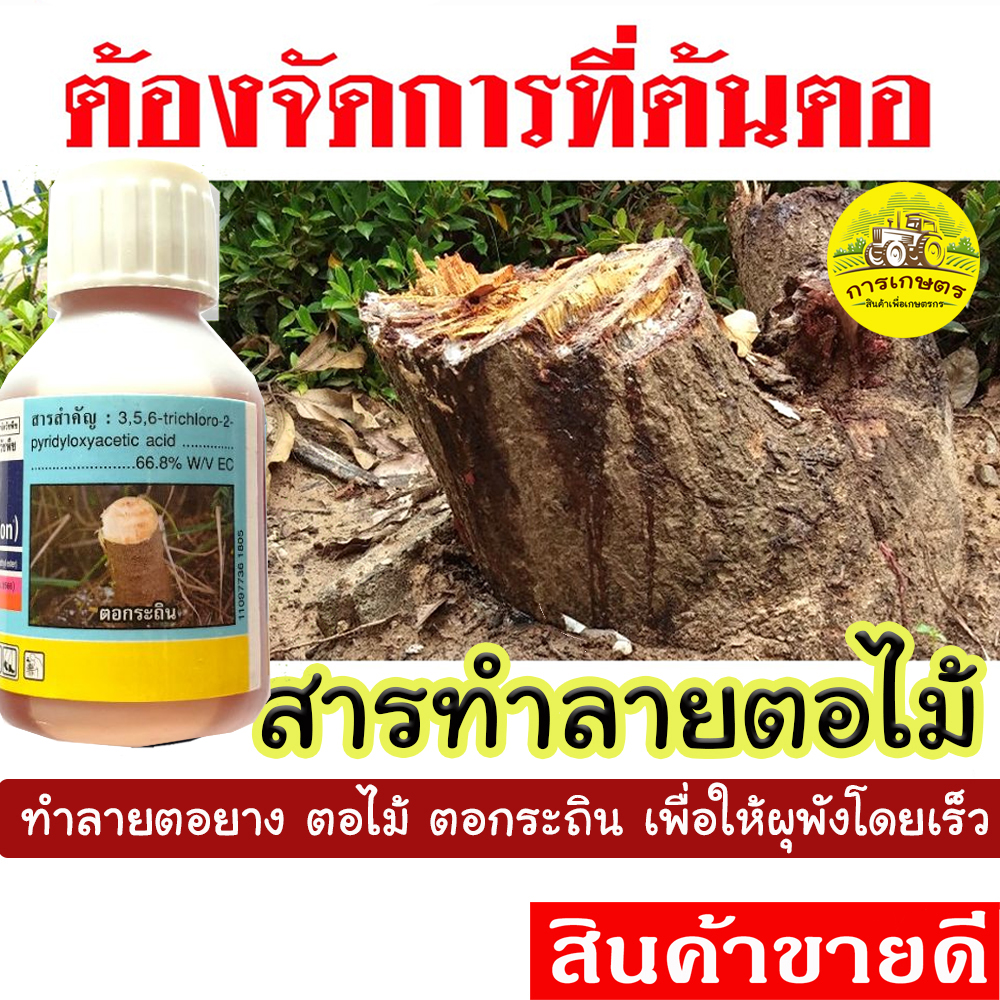 กำจัดตอไม้ ยาป้ายตอ ยาฆ่าตอไม้ ขนาด 100ซีซี ใช้ทำลายต้นยาง ต้นไม้ทั่วไปหลังจากโค่นต้นไม้เก่าแล้ว เพื่อให้ผุพังโดยเร็ว