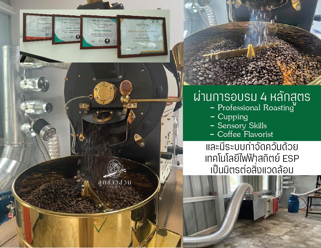 กาแฟคั่ว 500 กรัม (คั่วกลางเข้ม FullCity) ดอยผาฮี้ อาราบิก้า100 Washed ...