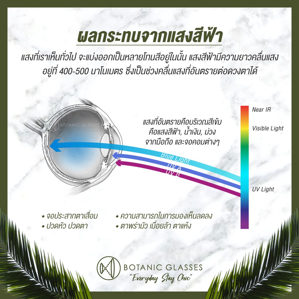 Botanic แว่นสายตายาว กรองแสง แท้ Super Blue Block มี3สี กรองแสงสีฟ้า 90-95% แว่นสายตา
