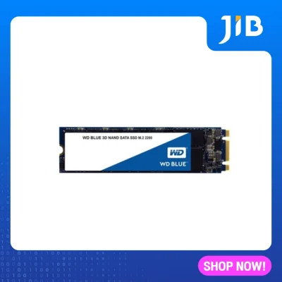 JIB SSD 1TB WD BLUE (WDSSD1TB) M.2 3D 5-Y