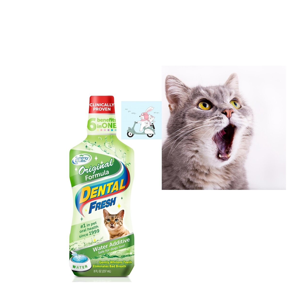 Dental Fresh Cat 237 ml น้ำยาดับกลิ่นปาก ผสมน้ำ สำหรับแมว 237 มล.