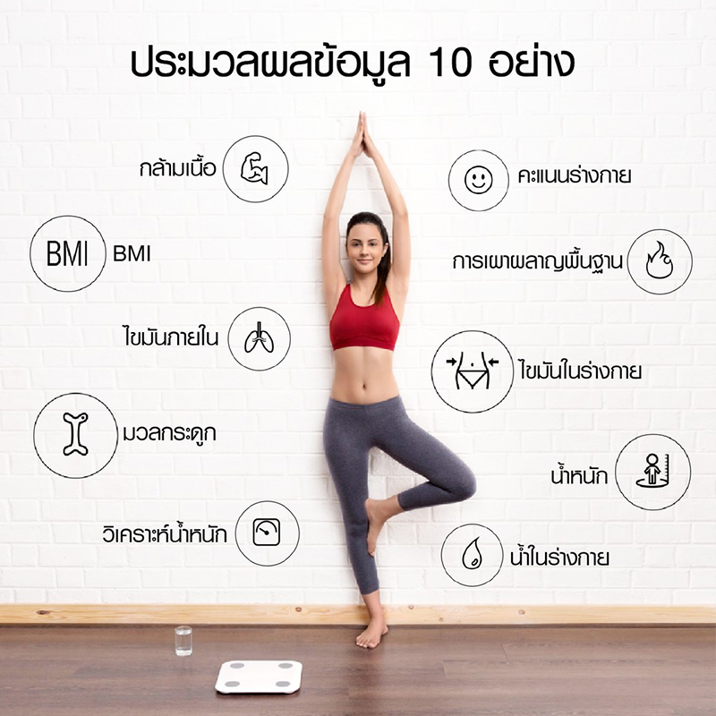 [ รับประกัน 1 ปี ] Xiaomi Mi Body Composition Scale 2 เครื่องชั่งน้ำหนัก body fat scale Smart Fat /BMI Measure ที่ชั่ง ตาชั่ง เครื่องชั่ง xiaomi เชื่อมโยงไปยัง MIfit APP สี Global สี Global