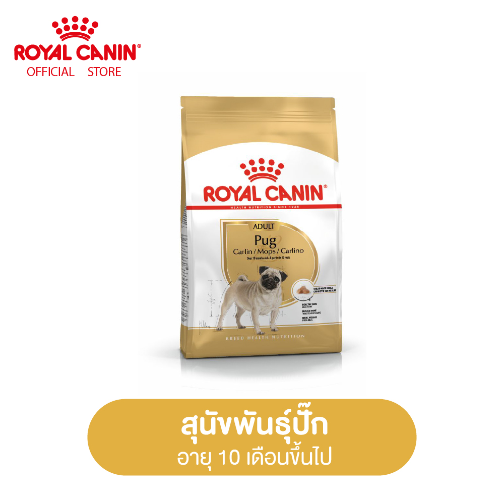 Royal Canin Pug Adult โรยัล คานิน อาหารสุนัขโต พันธุ์ปั๊ก อายุ 10 เดือนขึ้นไป (Dog food, อาหารเม็ดสุนัข)