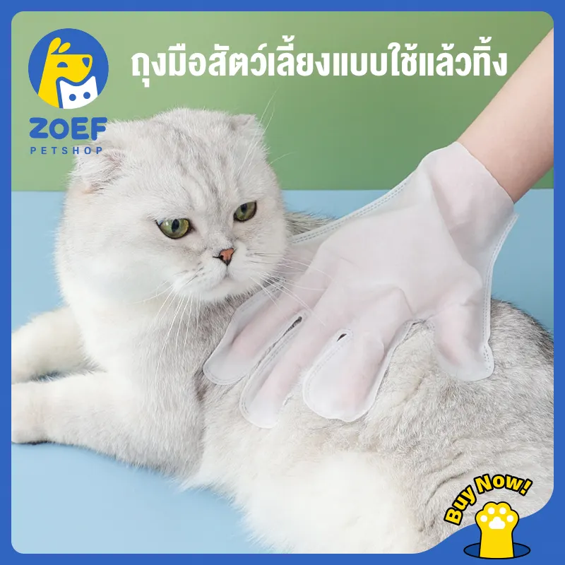 ภาพหน้าปกสินค้าZOEF ถุงมือสัตว์เลี้ยงแบบใช้แล้วทิ้ง, ถุงมือทำความสะอาดระงับกลิ่นกายสำหรับแมวและสุนัข, ถุงมือทำความสะอาดฆ่าเชื้อ (a glove) LI0291 จากร้าน ZOEF TH บน Lazada