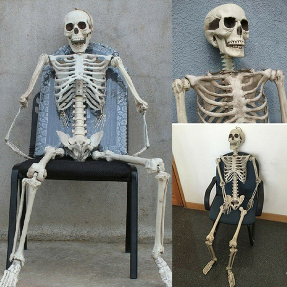 SFAJAI 1 PC Party Supply Photography Props Craft Anatomical Bone Human Skeleton Halloween Model
