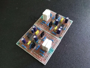 ภาพหน้าปกสินค้าP Tech Audio Mini741 V.3 Amplifier board 1คู่ ที่เกี่ยวข้อง