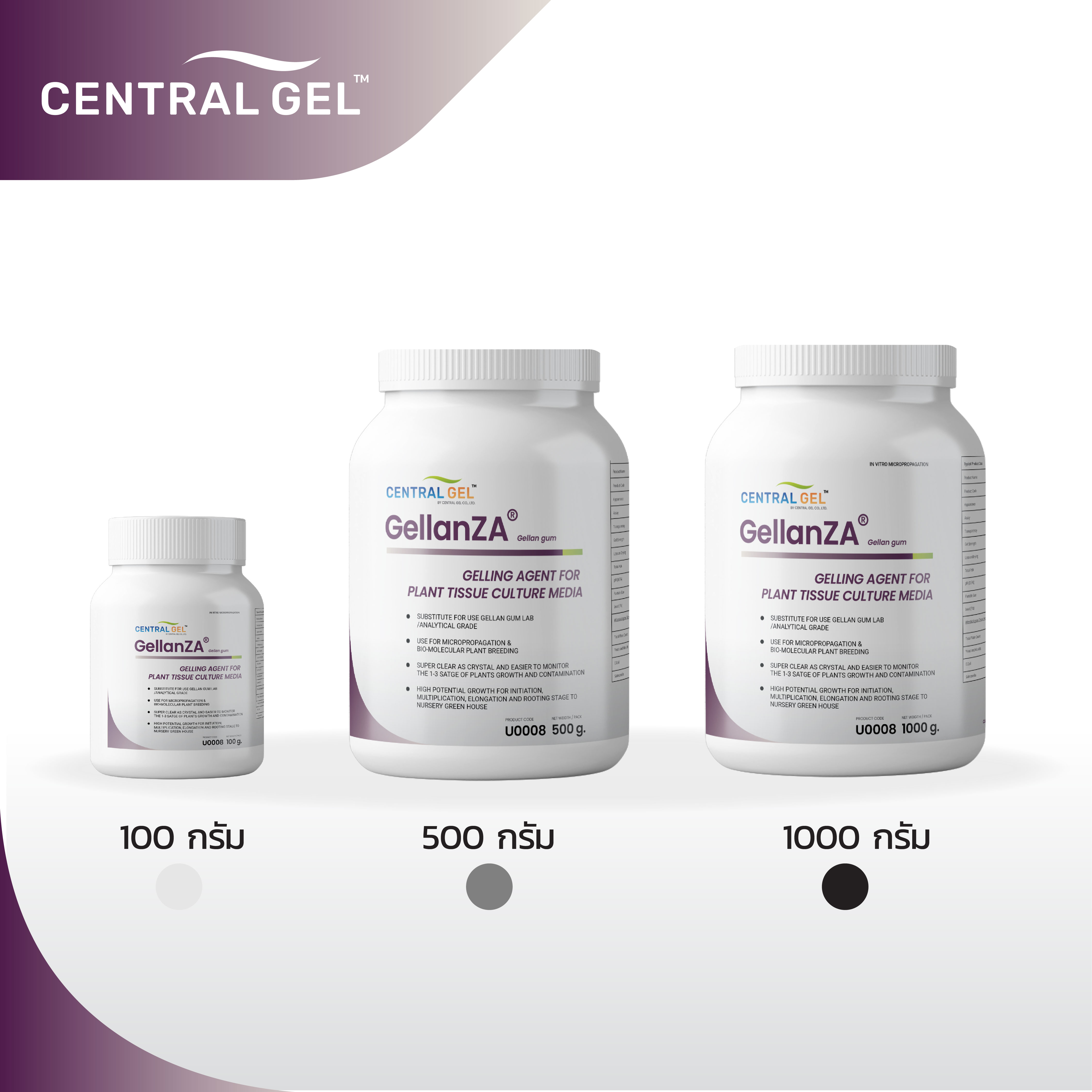 (Gellan Gum) เจลแลนกัม สำหรับเพาะเลี้ยงเนื้อเยื่อพืช GellanZA Lazada