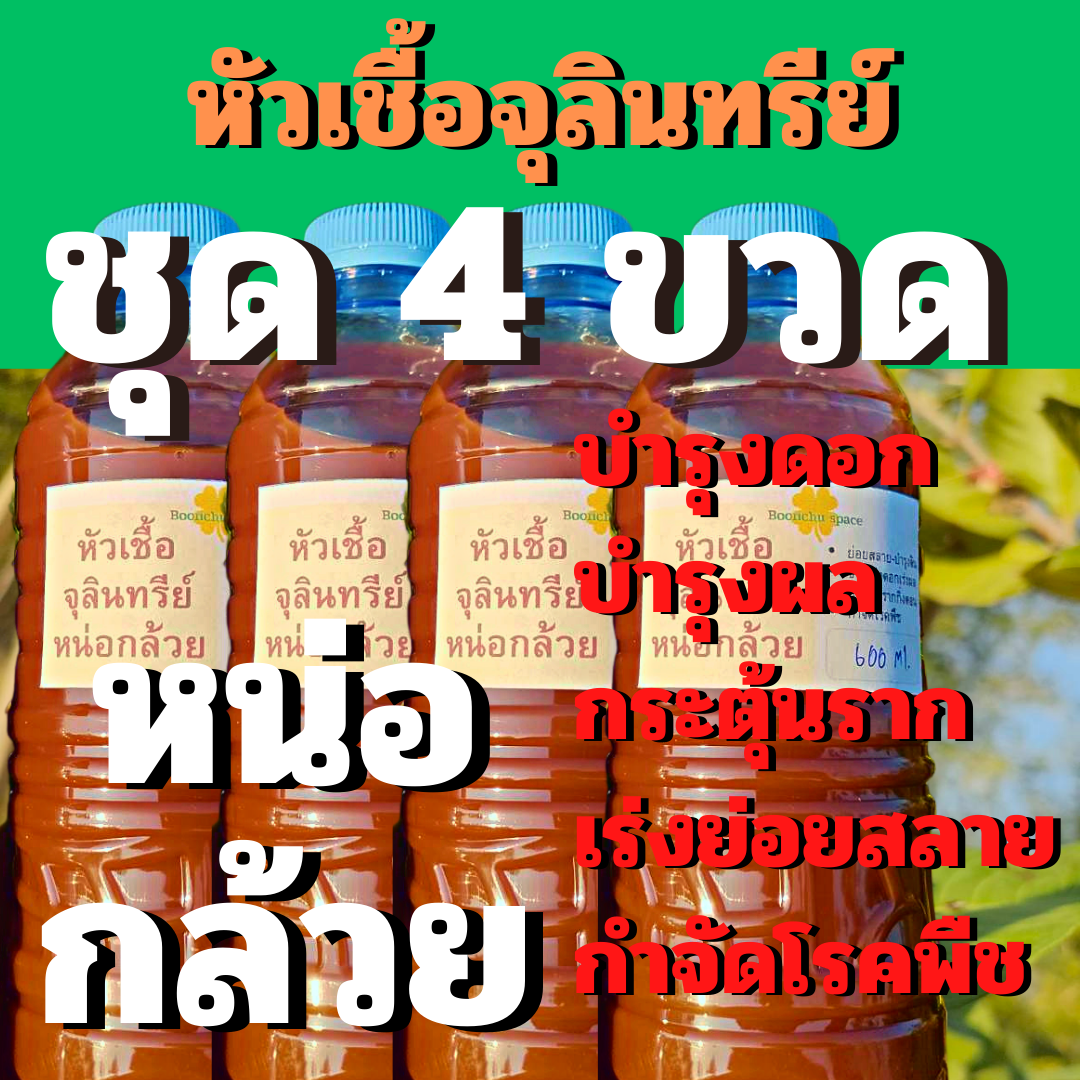 My Image 8