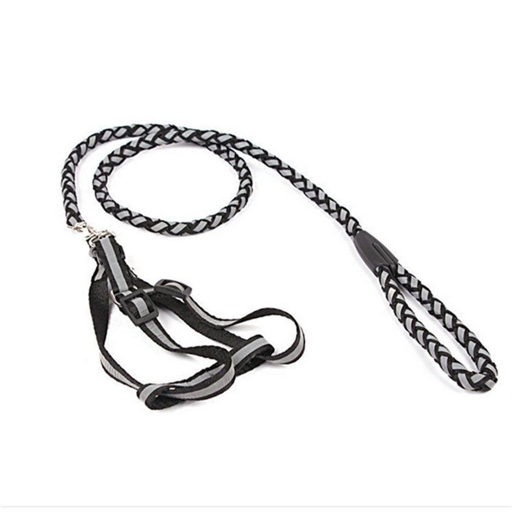 chain link dog harness