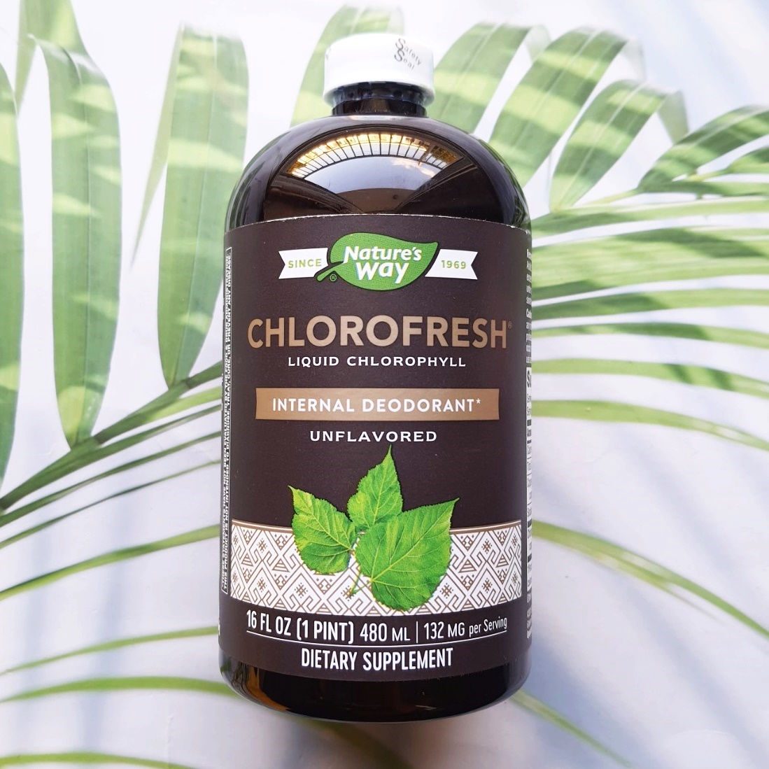 คลอโรเฟรช แบบน้ำ Chlorofresh Liquid Chlorophyll, Mint Flavored or