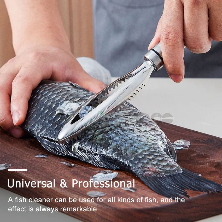 Memdoo Fish Scrappers Fish Scales Cleaner Stainless Steel Fish Cleaning