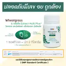 ภาพขนาดย่อของภาพหน้าปกสินค้าผักเม็ด Wheatgrass & Alfalfa Extract Multi Plus+ Q10 ** ฟรีค่าส่ง ** จากร้าน Wheatgrass & Alfalfa Plus  บน Lazada ภาพที่ 5