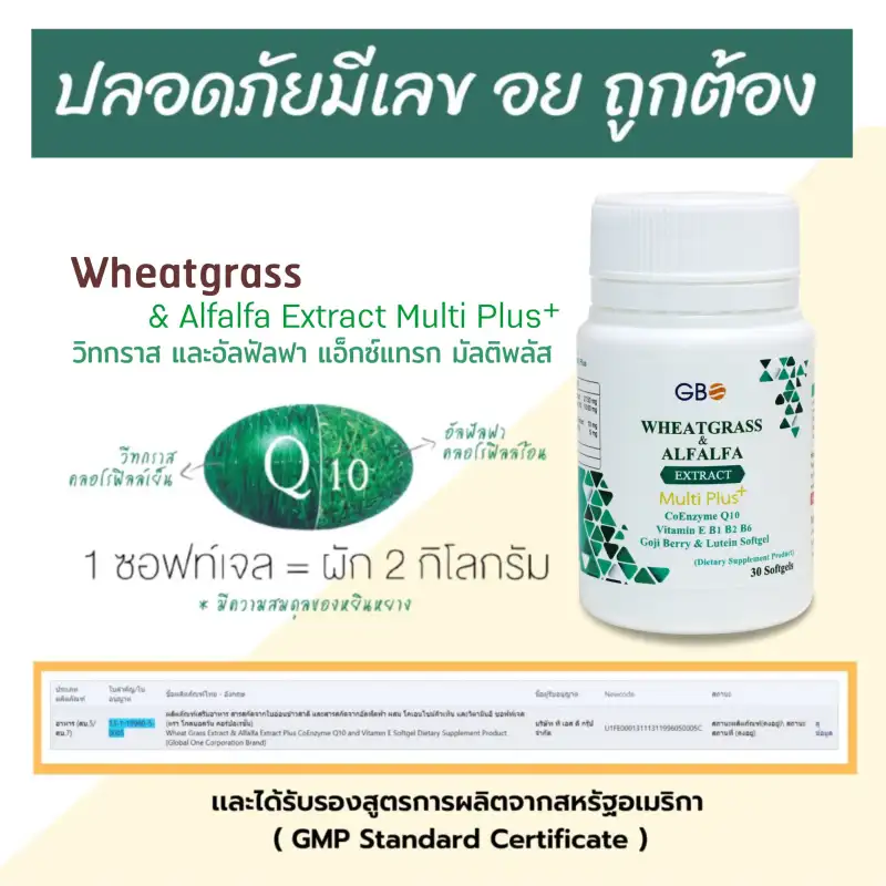 ภาพสินค้าผักเม็ด Wheatgrass & Alfalfa Extract Multi Plus+ Q10 ** ฟรีค่าส่ง ** จากร้าน Wheatgrass & Alfalfa Plus  บน Lazada ภาพที่ 5