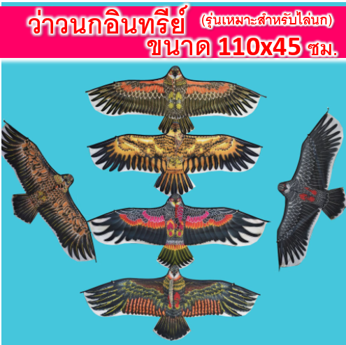 ว่าว ว่าวนกอินทรีย์ ว่าวไล่นก ทุกขนาด ราคาส่ง ยกชุดราคาส่ง ราคาพิเศษ10ตัว โปรวันนี้แถมเชือกทุกตัวค่ะ