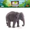 โมเดลสัตว์ลิขสิทธิ์ Animal Planet แท้ - Asian Elephant