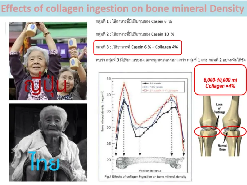 ภาพสินค้า(ของแท้100%) Ultimate Collagen อัลติเมล คอลลาเจน ไตร-เปปไทด์ นำเข้าจากประเทศญี่ปุ่น ขนาด 50 กรัม 9 ซอง แถมฟรีซองพกพา ขนาด10 กรัม 5 ซอง จากร้าน Ultimate Shop บน Lazada ภาพที่ 6