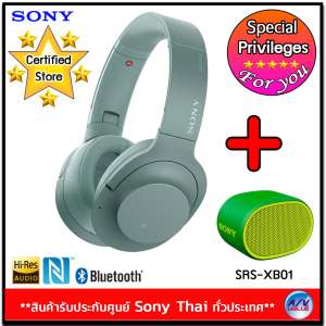 Sony หูฟังป้องกันเสียงรบกวนแบบไร้สาย h.ear on 2 Wireless NC รุ่น WH-H900N/G + Sony SRS-XB01 ลำโพง BLUETOOTH แบบพกพา EXTRA BASS (1 ชิ้น)