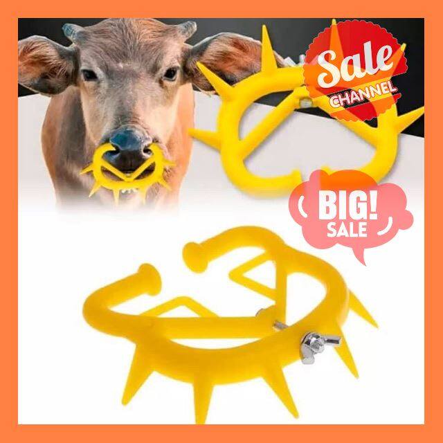 SALE !!ราคาสุดพิเศษ ## ห่วงอย่านมวัว ขนาดมาตฐาน ##สัตว์เลี้ยงและอุปกรณ์สัตว์เลี้ยง