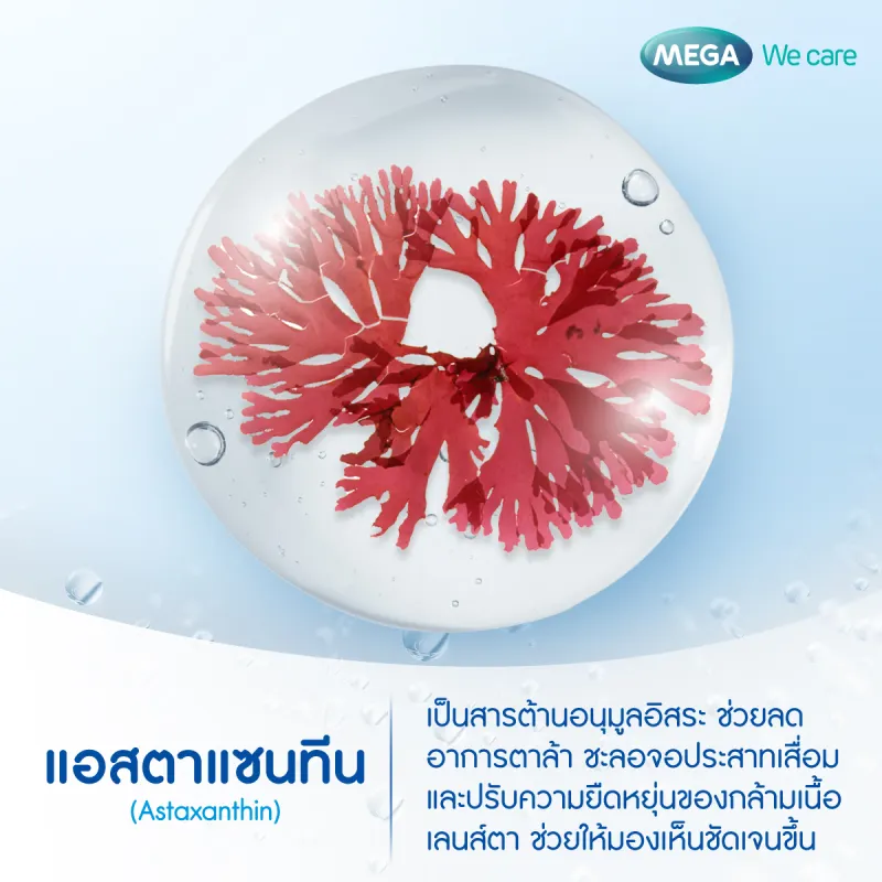 ภาพสินค้าMega we care astax (astaxanthin) (pack2) 30 แคปซูล เมก้า วีแคร์ แอสแทค (แอสตาแซนธิน) (Best Deal) จากร้าน SuperHealthee บน Lazada ภาพที่ 1