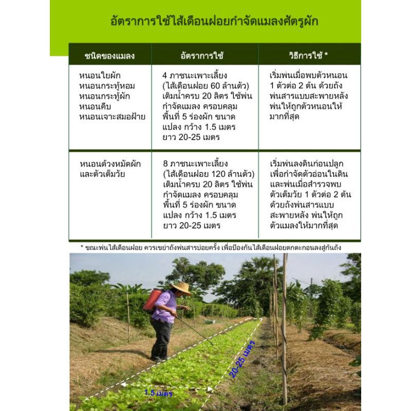 [ ของมีจำนวนจำกัด ] ไส้เดือนฝอยชีวภัณฑ์อินทรีย์ 4 ถุง 119 กำจัดศัตรูพืช ...