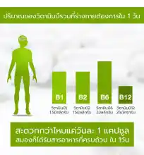 ภาพขนาดย่อของภาพหน้าปกสินค้าแพคคู่ Clover Plus Multi B+ Ginkgo อาหารเสริม สารสกัดจากใบแปะก๊วย วิตามินบี สำหรับบำรุงสมอง ความจำ ระบบประสาท ป้องกันอัลไซเมอร์ 1ขวด/30แคปซูล x2 ขวด จากร้าน Gifto Store บน Lazada ภาพที่ 4