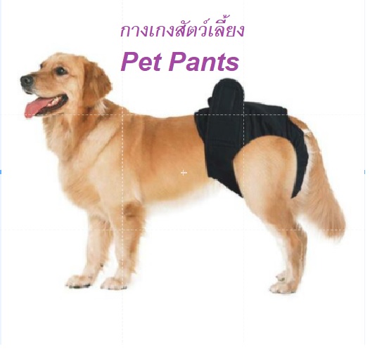 กางเกงสุนัข เป็น กางเกงผ้าอ้อมสุนัข ถอดซักได้  มีหลายขนาด / Pets Dog Pupply Physiological Pants