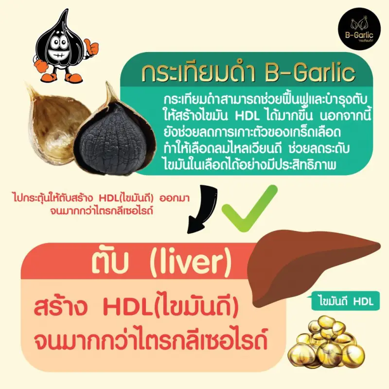 ภาพสินค้ากระเทียมดำ B-Garlic จากร้าน BellaColla Thailand บน Lazada ภาพที่ 6