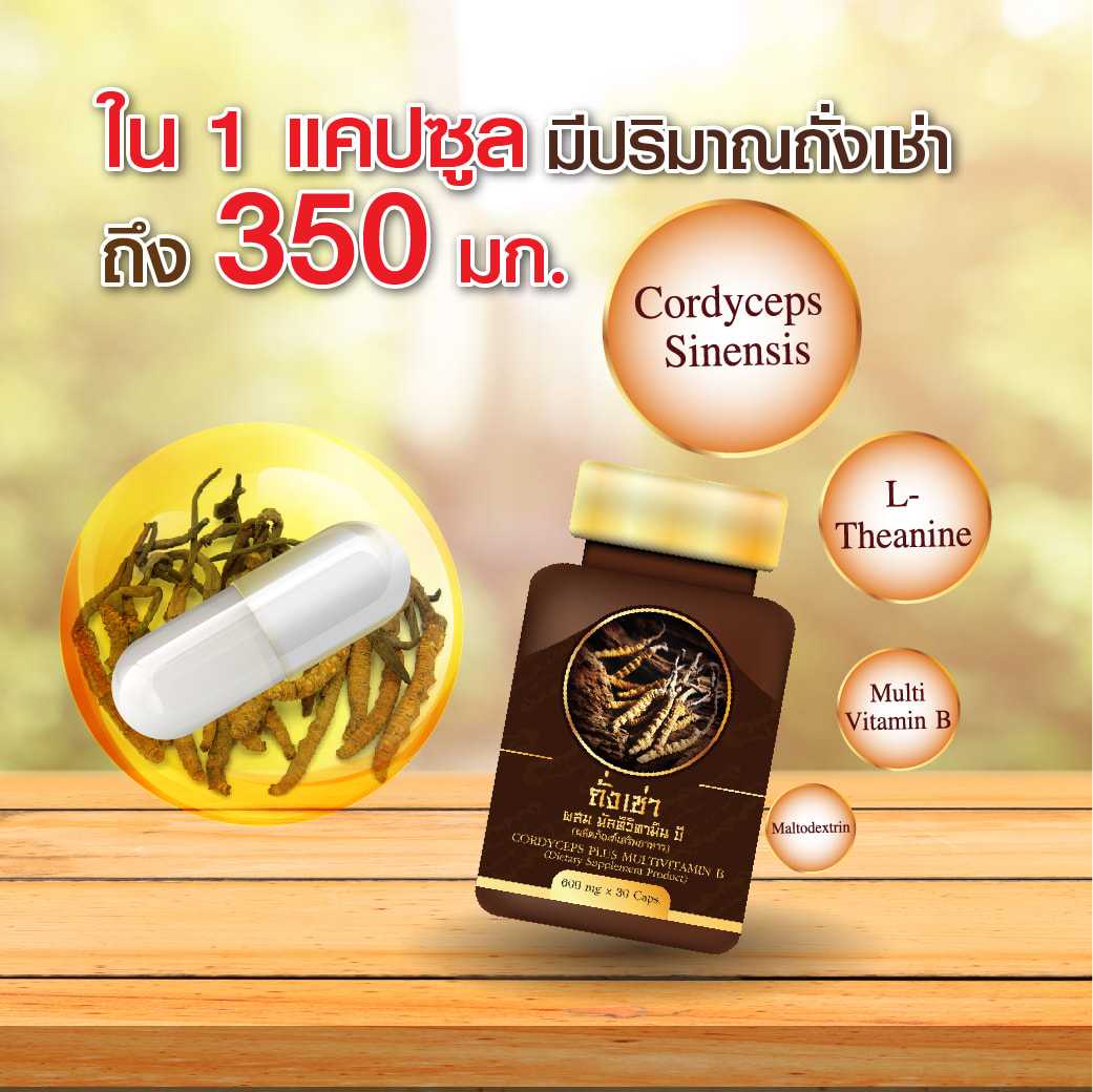 Mvmall ถั่งเช่าผสมมัลติวิตามินบี Cordyceps Plus Multi Vitamin B Mvmall Tv Thaipick