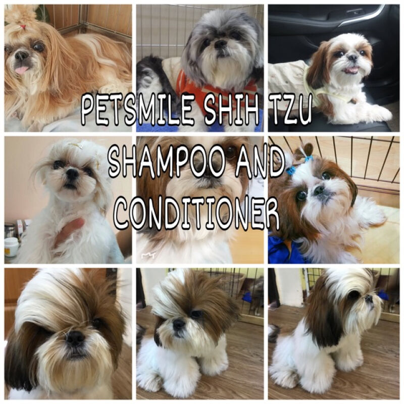 PETSMILE Shih Tzu Shampoo with Conditioner เพ็ทสไมล์ แชมพูสุนัขผสมคอนดิ
