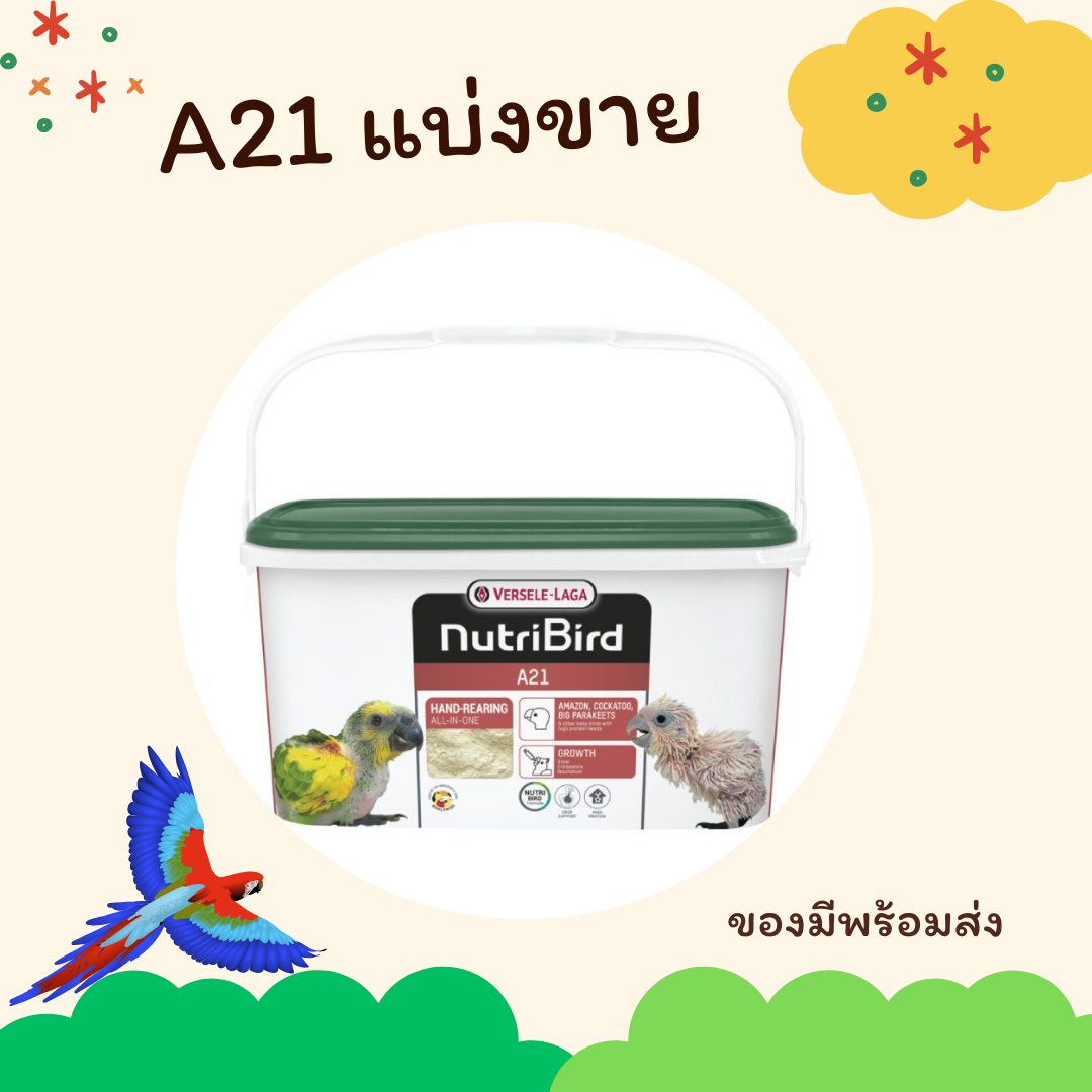 Nutribird A21 ฝาเขียวโฉมใหม่ อาหารลูกป้อน สำหรับลูกนกทุกสายพันธ์ุ (แบ่งขาย200g /500g.) Lazada