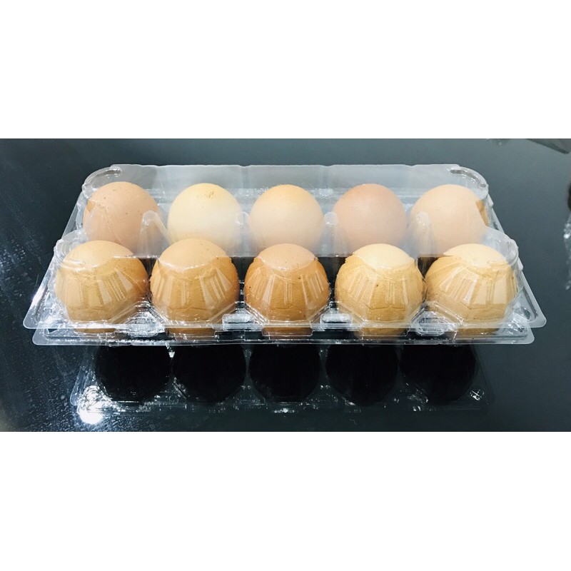 hot 5 ชิ้น🌷แไข่ 1 ฟอง ล็อคได้ ถาดไข่ 1 ฟอง กล่องไข่ 1 ฟอง พลาสติกใส แพ็คไข่ มีปุ่มล็อค ล็อคแน่น ไม่ต้องเย็บแม็ก
