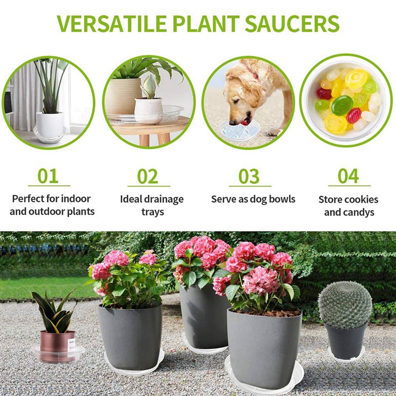 Plant Saucers, 10 Pack of 30cm (12 Inch), Transparent Flower