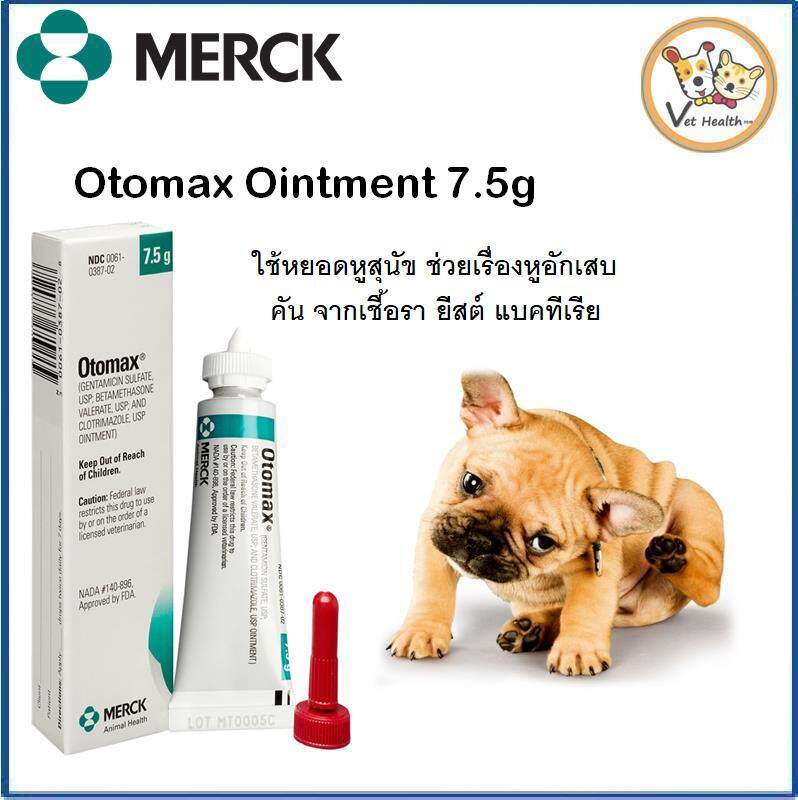 otomax dog ear