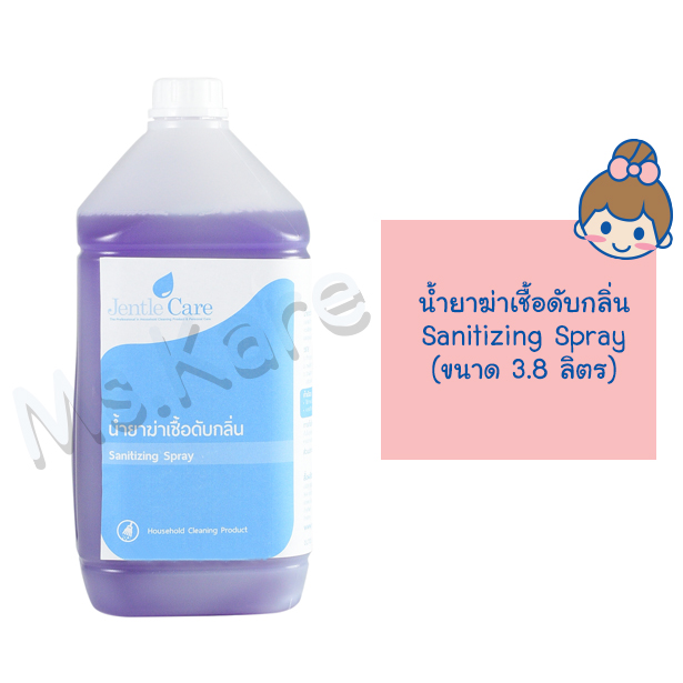 น้ำยาฆ่าเชื้อดับกลิ่น Sanitizing Spray (ขนาด 3.8 ลิตร)