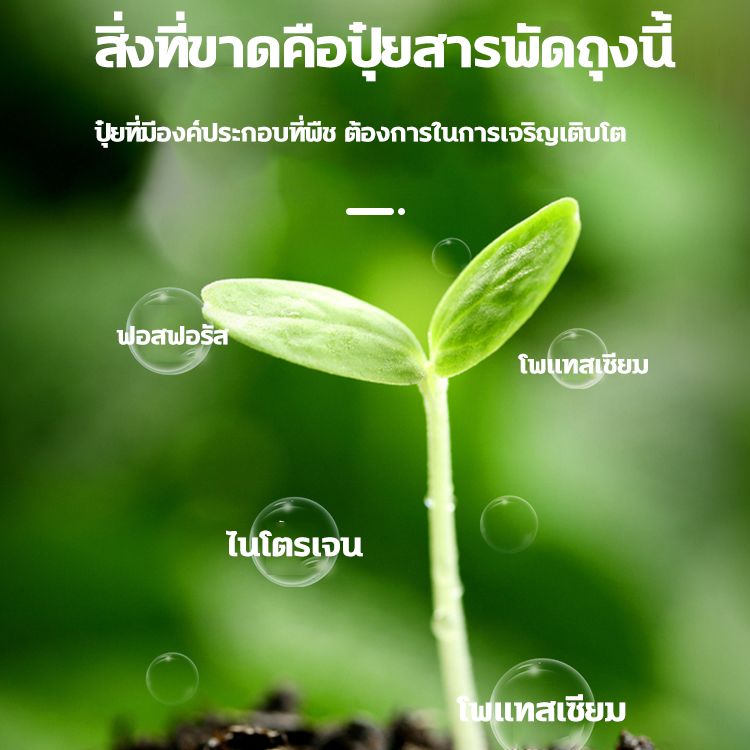 My Image 18