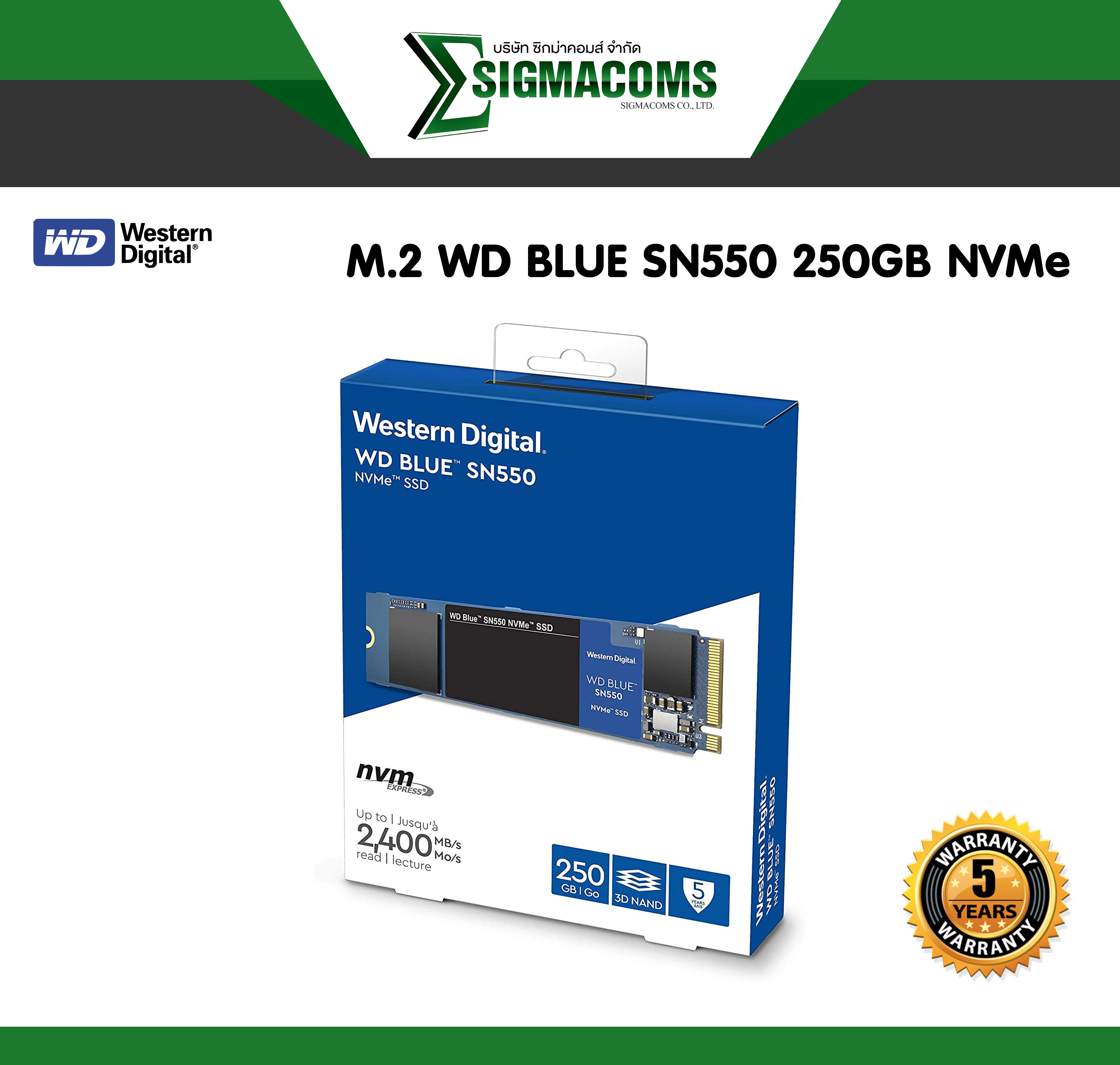 SSD M.2 WD BLUE SN550 250GB NVMe ของใหม่ !! ประกัน 5 ปี