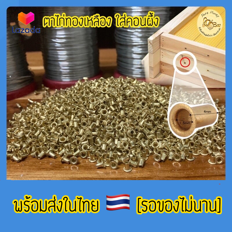 ตาไก่ทองเหลือง สำหรับใส่คอนเลี้ยงผึ้ง อุปกรณ์เลี้ยงผึ้ง 150ตัว [มีปลายทาง] ตาไก่ติดคอนผึ้ง ตาไก่ใส่คอนผึ้ง อุปกรณ์สำหรับเลี้ยงผึ้ง