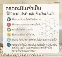 ภาพขนาดย่อของภาพหน้าปกสินค้าจัดส่งฟรี ชุดทดลอง 15 ซอง เวย์โปรตีน โซย่าเวย์ โปรตีน กิฟฟารีนแท้ ชนิดผงน้ำธรรมก็ชงได้ พกพาสะดวก ดื่มดูแลสุขภาพ จากร้าน givena108shop บน Lazada ภาพที่ 6