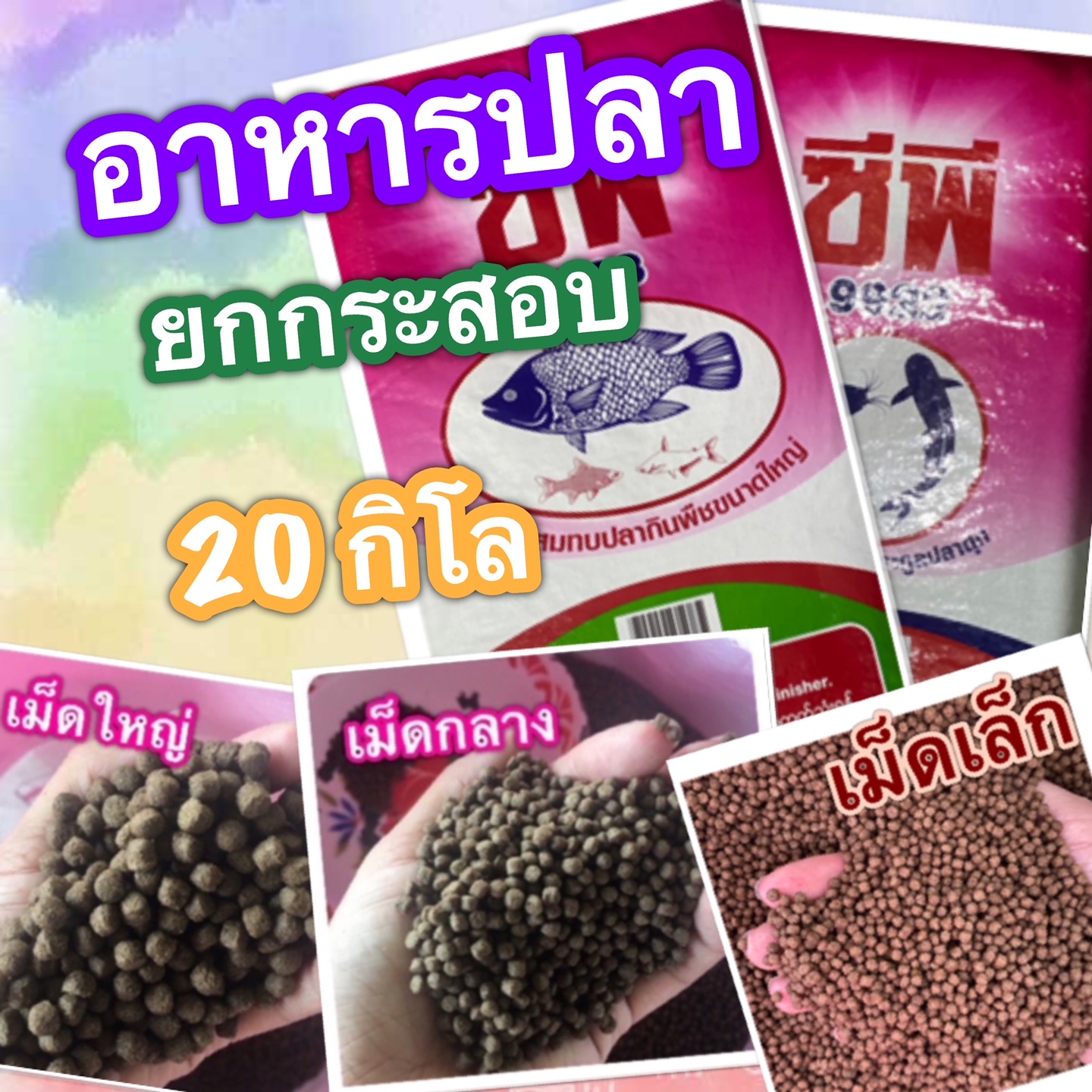 My Image 43