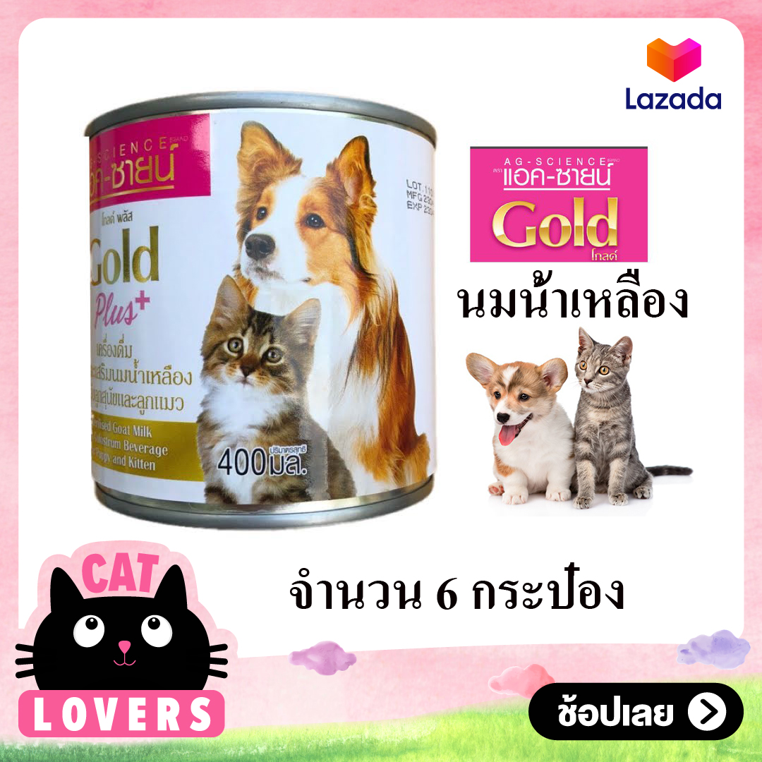 [6 กป] Goat milk Gold For Dog Cat Rabbit นมน้ำเหลือง นมน้ำพร้อมกิน นมแพะน้ำ นมสำหรับสุนัข แมว กระต่าย กระรอก เม่น และสัตว์เลี้ยงลูกด้วยนม 400 มล
